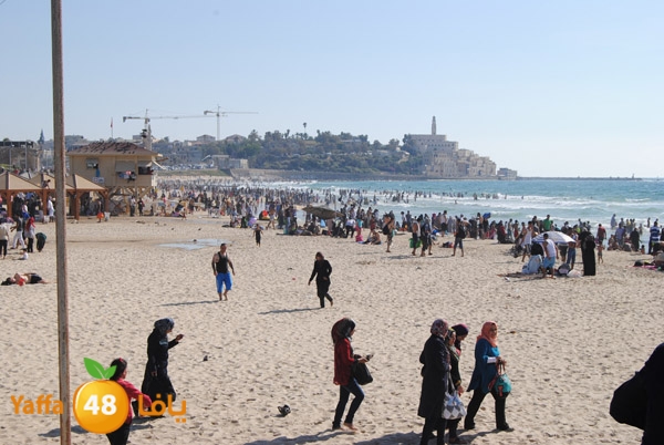 yaffa people 811 (32).JPG